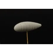 German 300l Fuel tanks, 1/144 - Brengun BRL144022 German 300l Fuel tanks, 1/144 - Brengun BRL144022