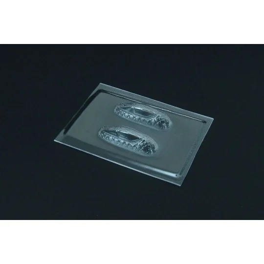 Bac Lightning II Vacu Canopy(F-toys-Platz), 1/144 - Brengun BRL144138