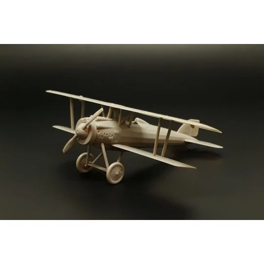 Letov S-4, 1/72 - Brengun BRS72014