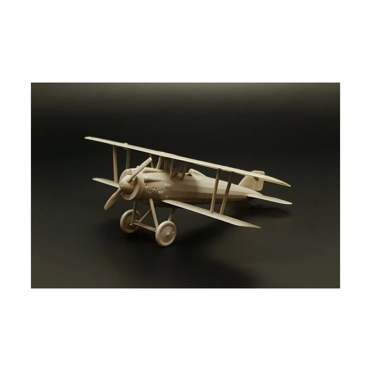 Letov S-4, 1/72 - Brengun BRS72014