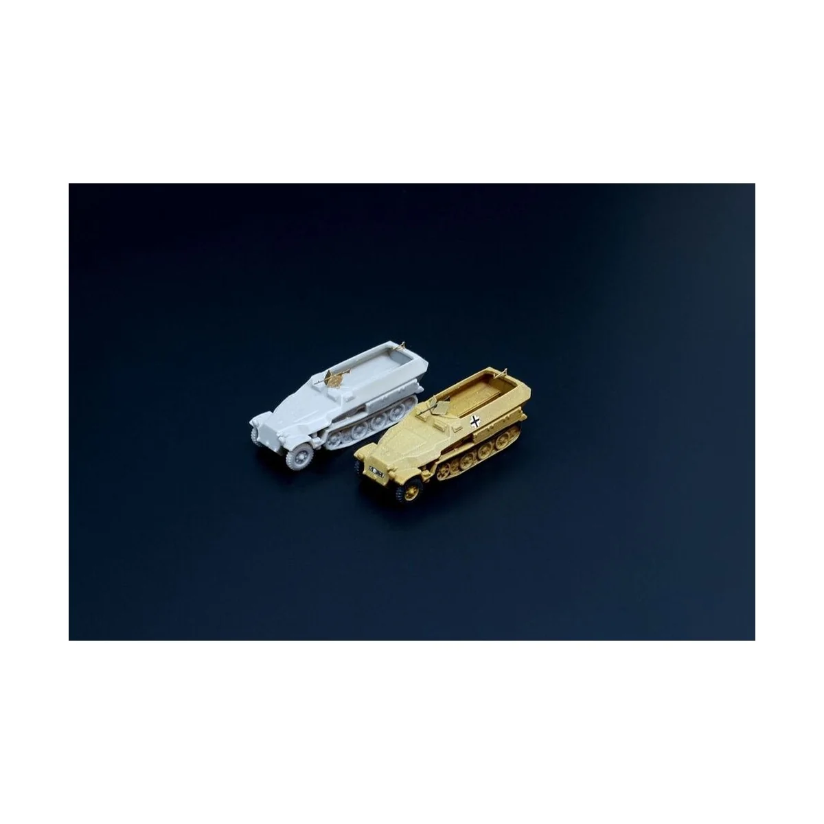 Sd.Kfz. 251D 2pcs, 1/160 - Hauler HNN16008