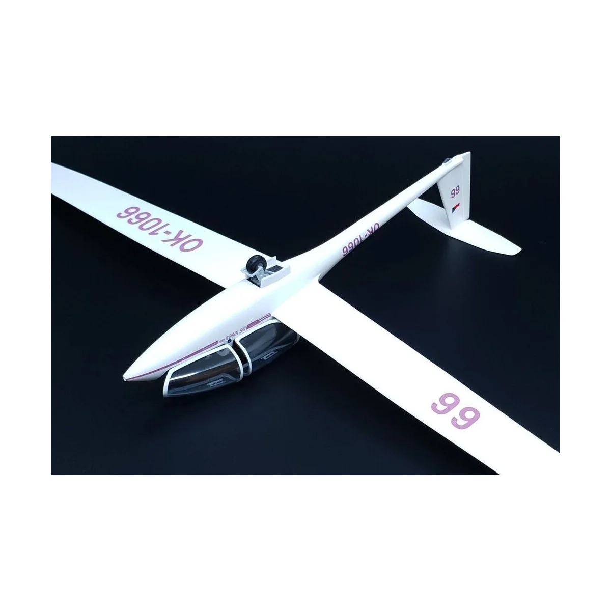 DG-1000S Glider AKVY - Brengun BRP48006