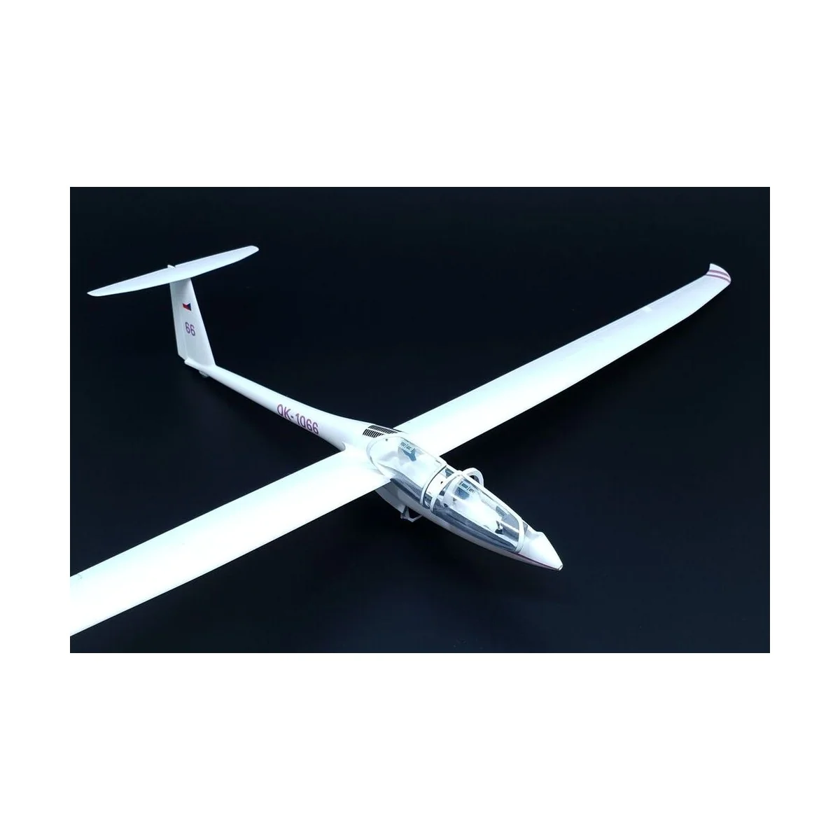 DG-1000S Glider AKVY - Brengun BRP48006