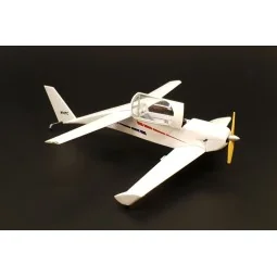 Rutan Quickie - Brengun BRL32045