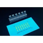 WWII GERMAN 5 LITRE OIL CANS (6pcs) - Hauler HLH72135