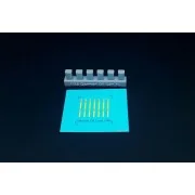 WWII GERMAN 5 LITRE OIL CANS (6pcs), 1/48 - Hauler HLX48405