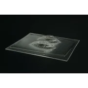 P-47D „Bubbletop“ vacu canopy (Platz/Eduard kit) - Brengun BRL144186