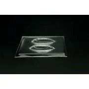 F-86 Sabre vacu canopy (Trumpeter/Monochrome kit), 1/144 - Brengun ...