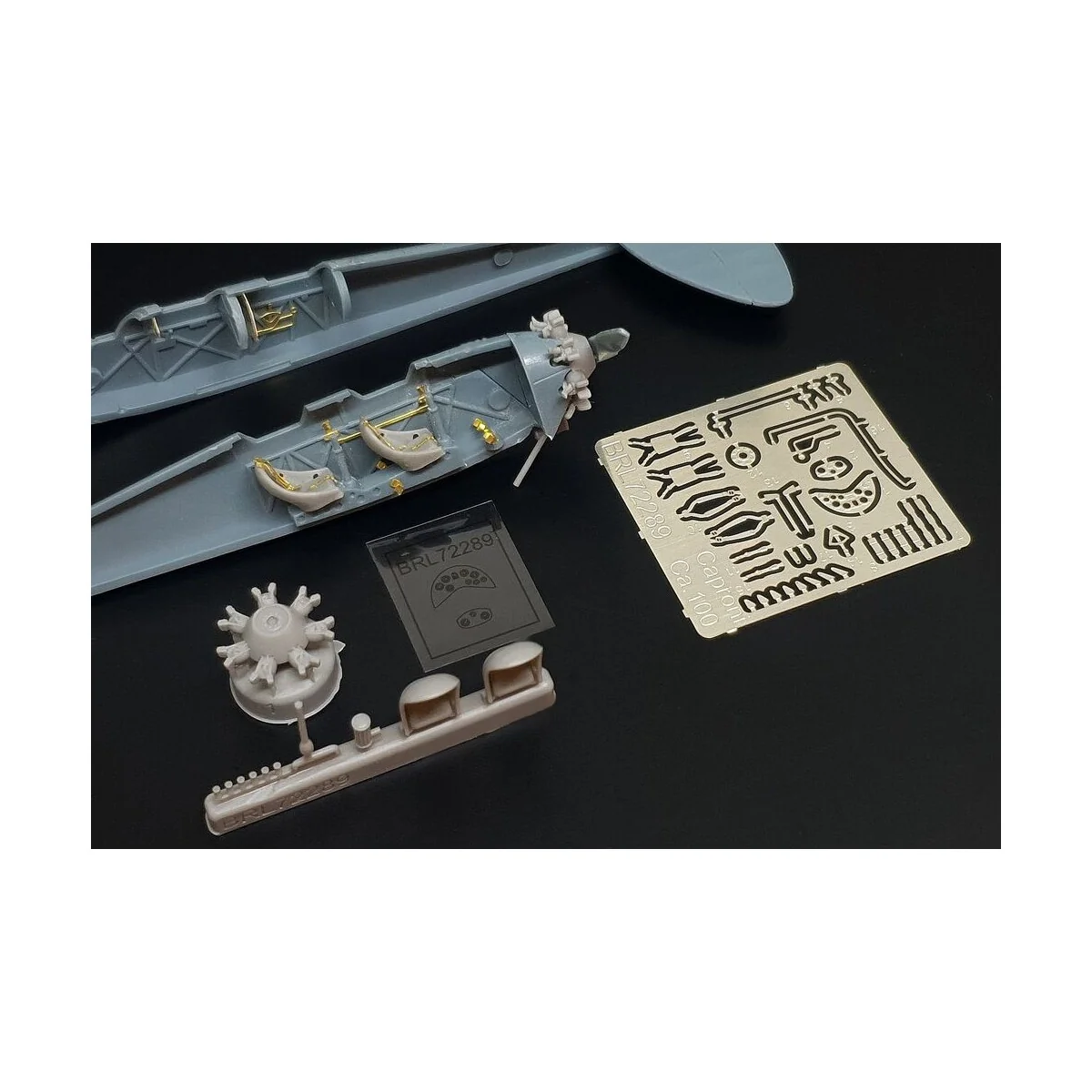Caproni Ca.100, 1/72 - Brengun BRL72289