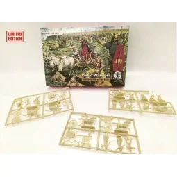 Celtic Warriors - WATERLOO 1815 AP045