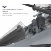 Boeing F/A-18E Super Hornet - MENG-Model LS-012