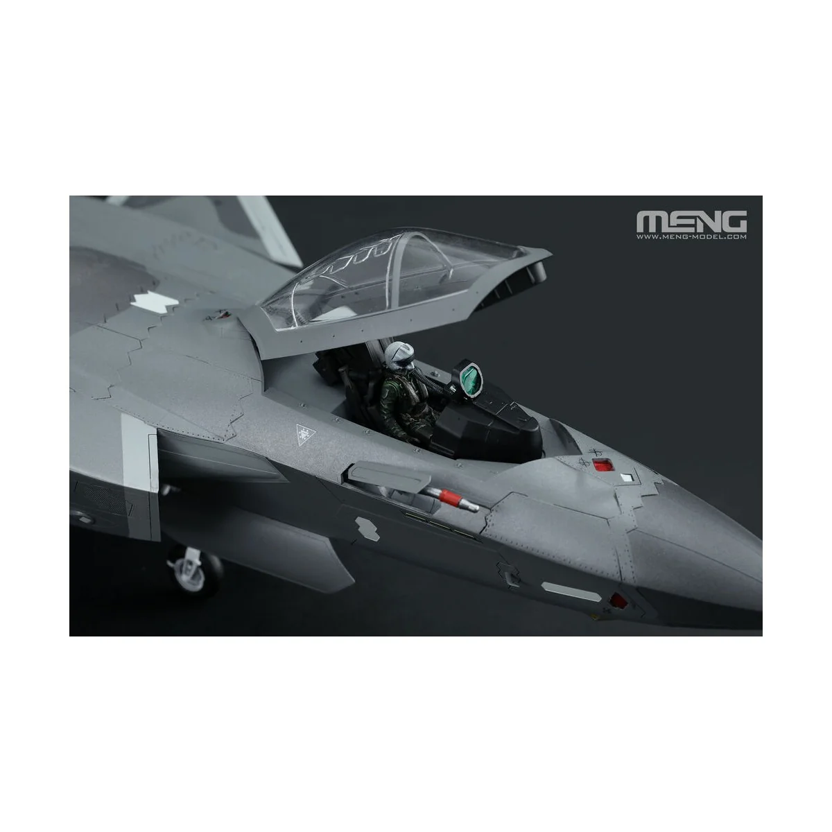 Chinese J-20 Stealth Fighter Beast Mode - MENG-Model LS-002s