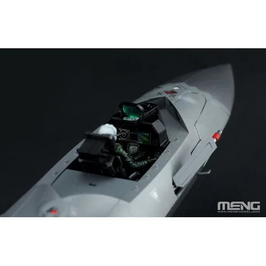 Chinese J-20 Stealth Fighter Beast Mode - MENG-Model LS-002s