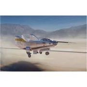 Northrop M2-F3 - Micro Mir AMP AMP72023