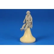 Commonwealth WWII Fighter Pilot in a Spi Spitfire Seat Spitfire Mk....