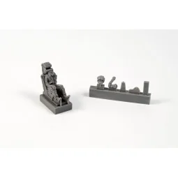 SK-37/SK-37E Viggen Instructor/Operator (seated in rear cockpit)f.S...