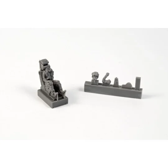 SK-37/SK-37E Viggen Instructor/Operator (seated in rear cockpit)f.S...