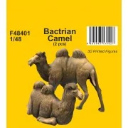 Bactrian Camel (2 pcs), 1/48 - CMK 129-F48401