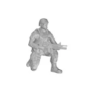 Kneeling Soldier (on right knee)US Army Infantry Squad 2nd Division...