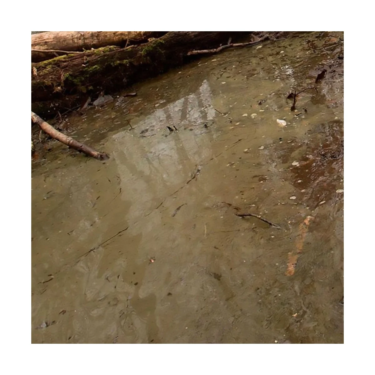 WATER GEL SWAMP GREEN EFFECTS - 250ml (Acrylic) - AK Interactive AK...