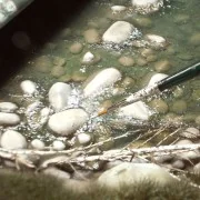 WATER GEL EFFECTS - 100ml (Acrylic) - AK Interactive AK8007