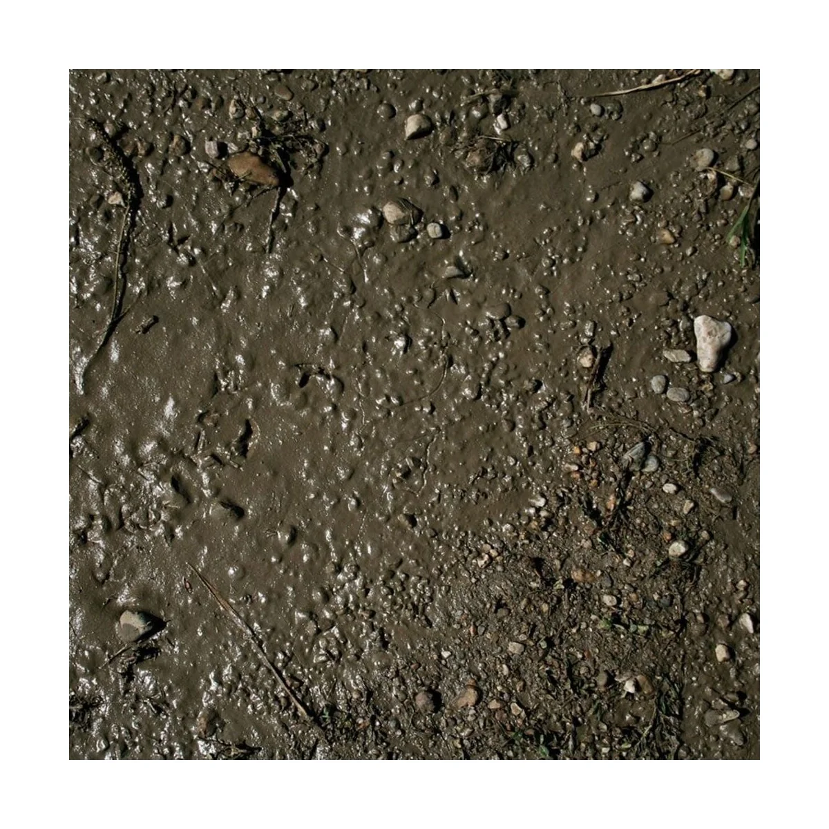 TERRAINS WET GROUND - 250ml (Acrylic) - AK Interactive AK8016