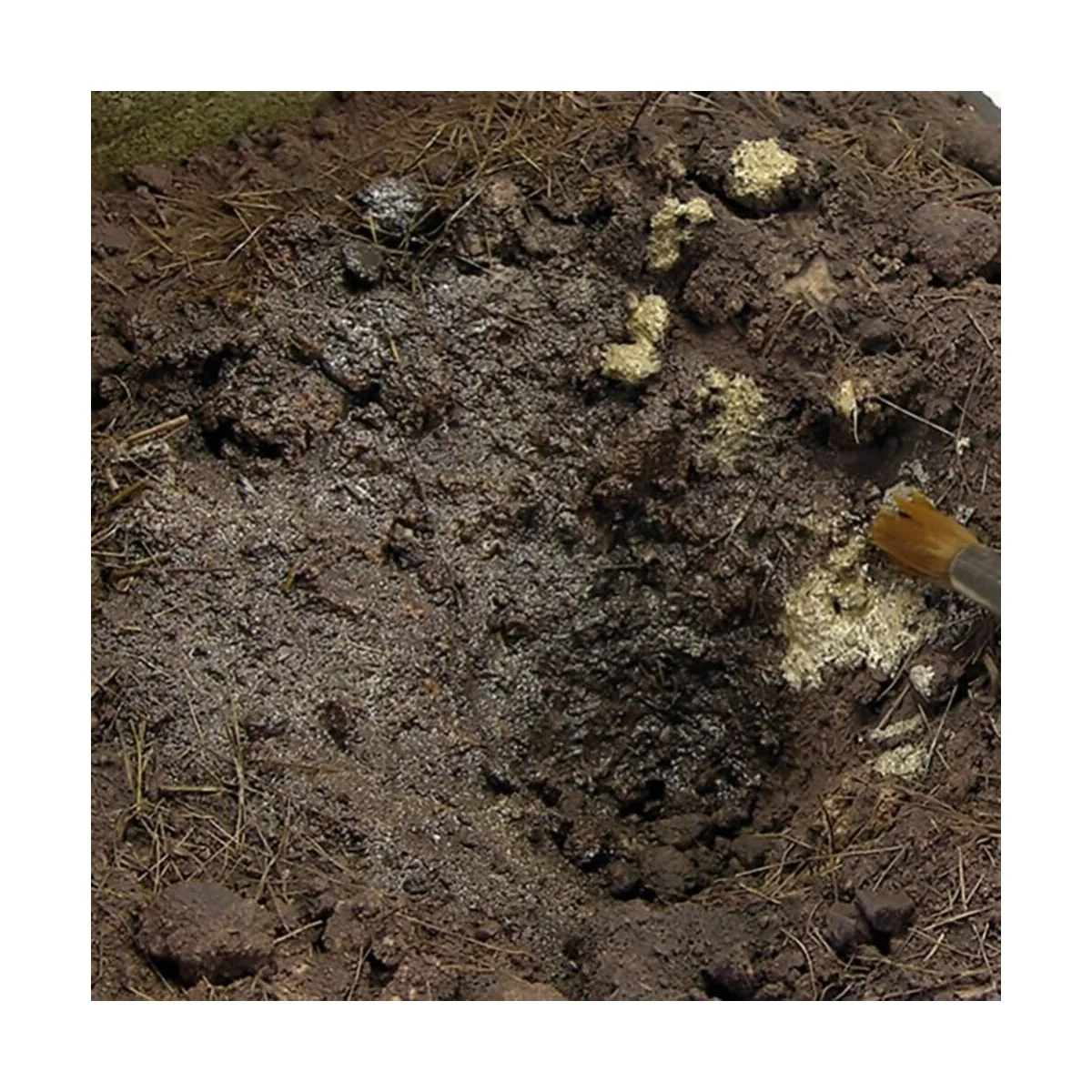 TERRAINS MUDDY GROUND - 250ml (Acrylic) - AK Interactive AK8017