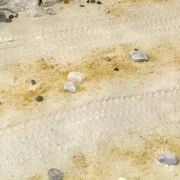 TERRAINS DESERT SAND - 250ml (Acrylic) - AK Interactive AK8020