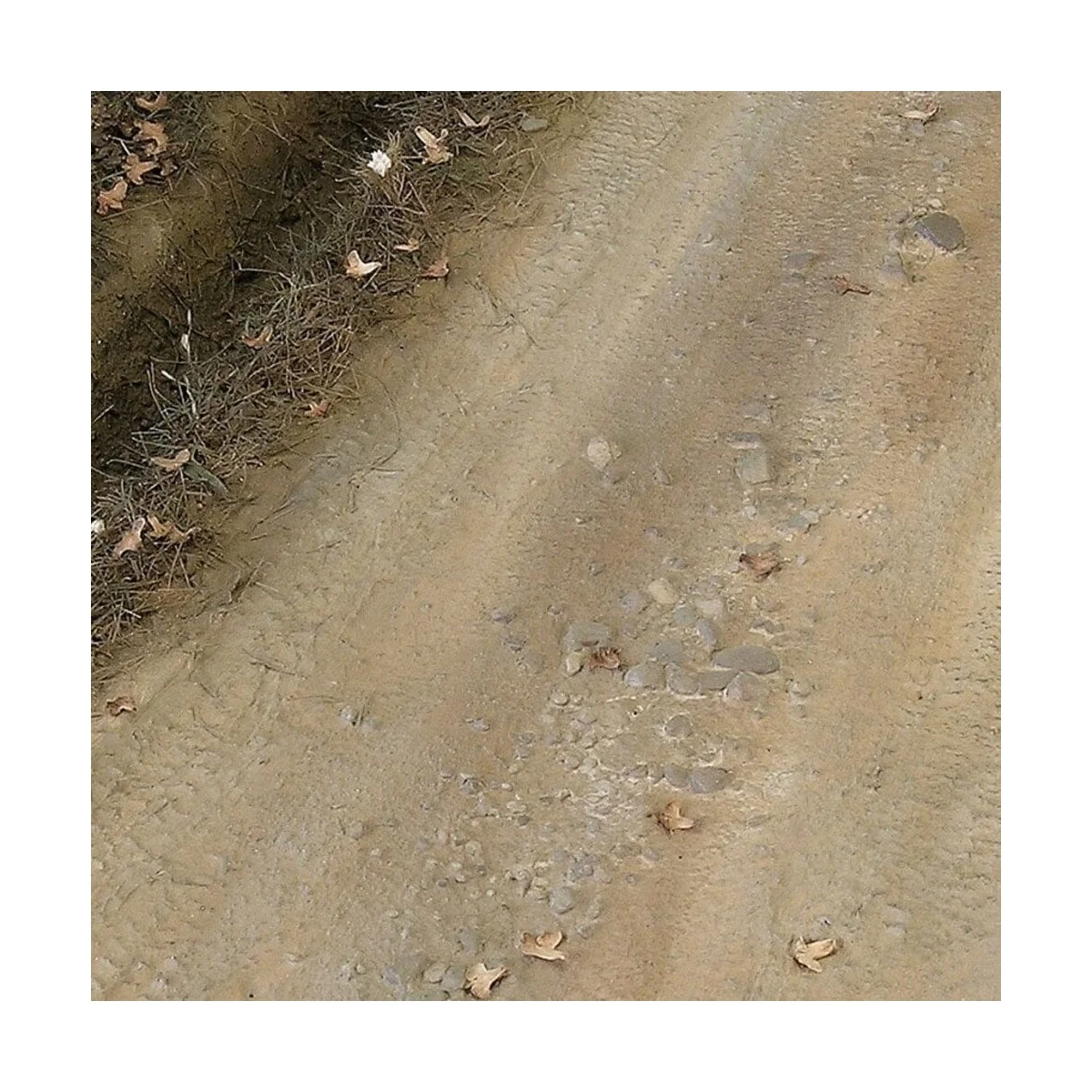 TERRAINS LIGHT EARTH - 250ml (Acrylic) - AK Interactive AK8021