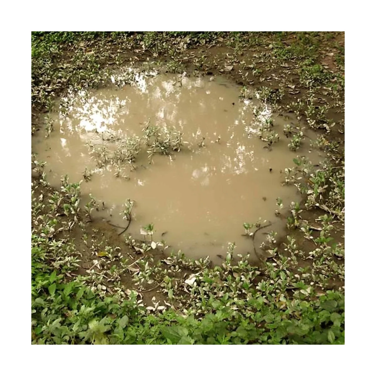 PUDDLES - 60ml (Acrylic) - AK Interactive AK8028