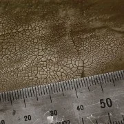 DARK & DRY CRACKLE EFFECTS - 100ml (Acrylic) - AK Interactive AK8032