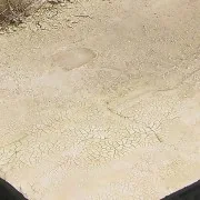 LIGHT & DRY CRACKLE EFFECTS - 100ml (Acrylic) - AK Interactive AK8033