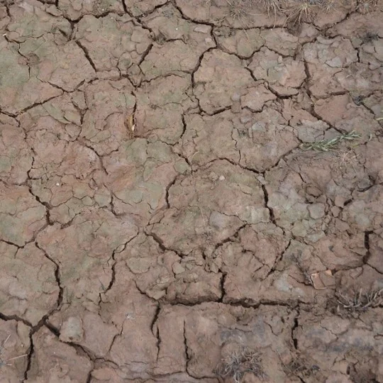 WET CRACKLE EFFECTS - 100ml (Acrylic) - AK Interactive AK8034