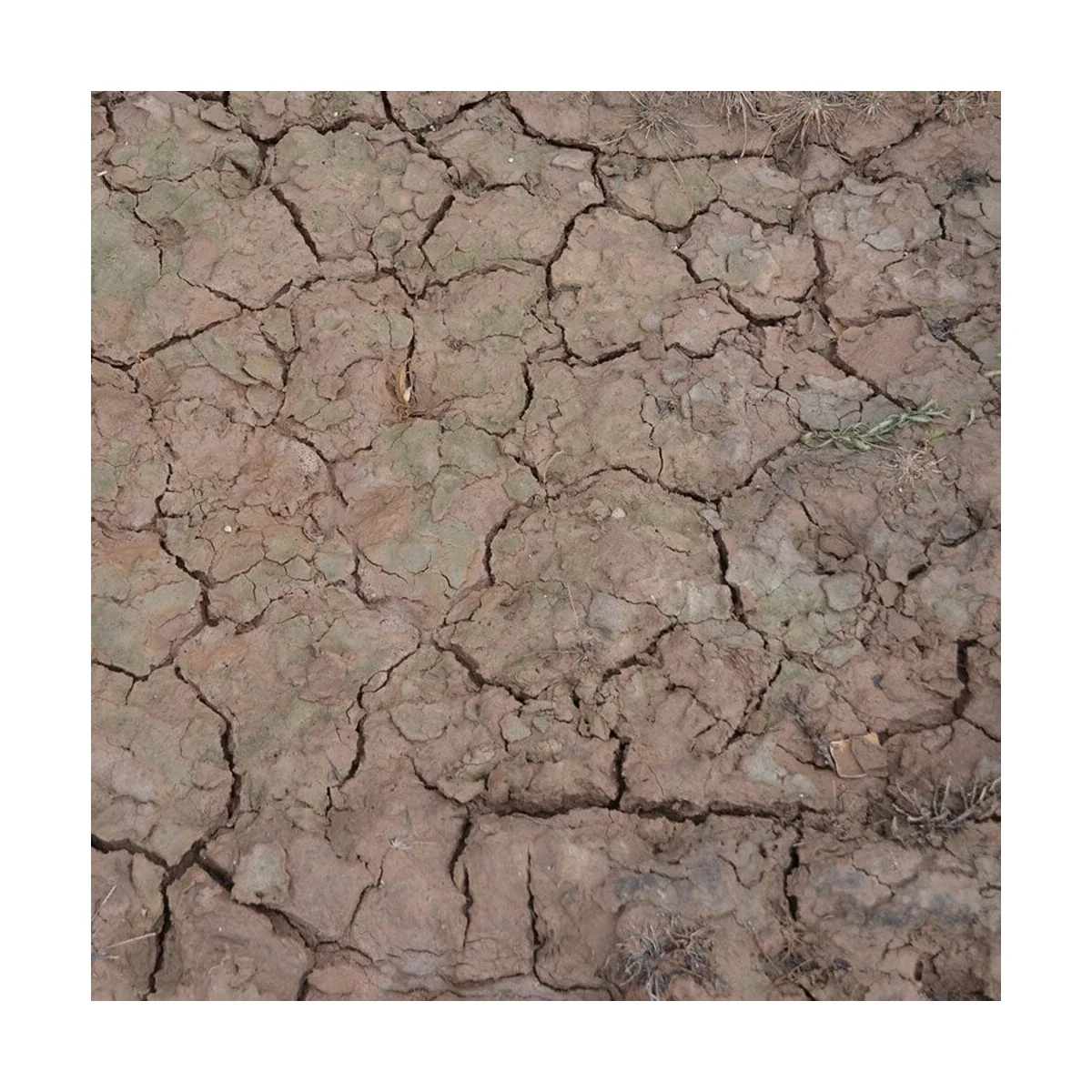 WET CRACKLE EFFECTS - 100ml (Acrylic) - AK Interactive AK8034