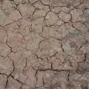 WET CRACKLE EFFECTS - 100ml (Acrylic) - AK Interactive AK8034