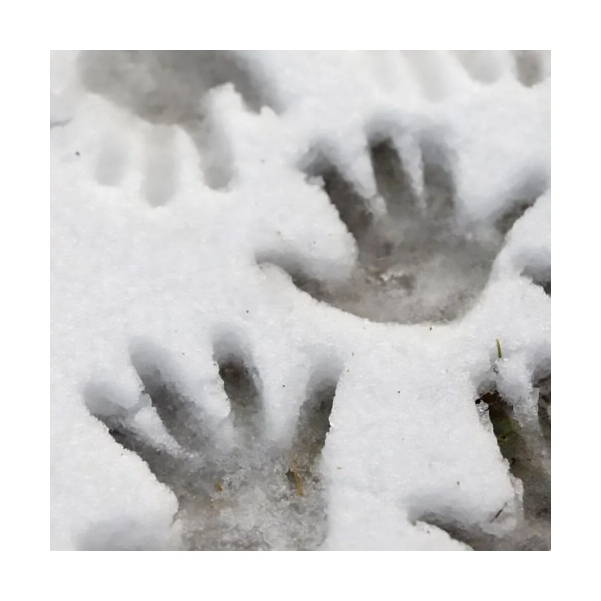 ICE SPARKLES - 100ml - AK Interactive AK8037