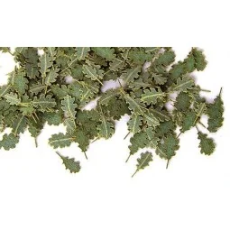 Grüne Eichenblätter - Plus model 252