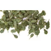 Grüne Eichenblätter, 1/35 - Plus model 252