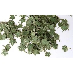 Grüne Walnussblätter, 1/35 - Plus model 253