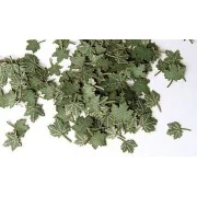 Grüne Walnussblätter - Plus model 253