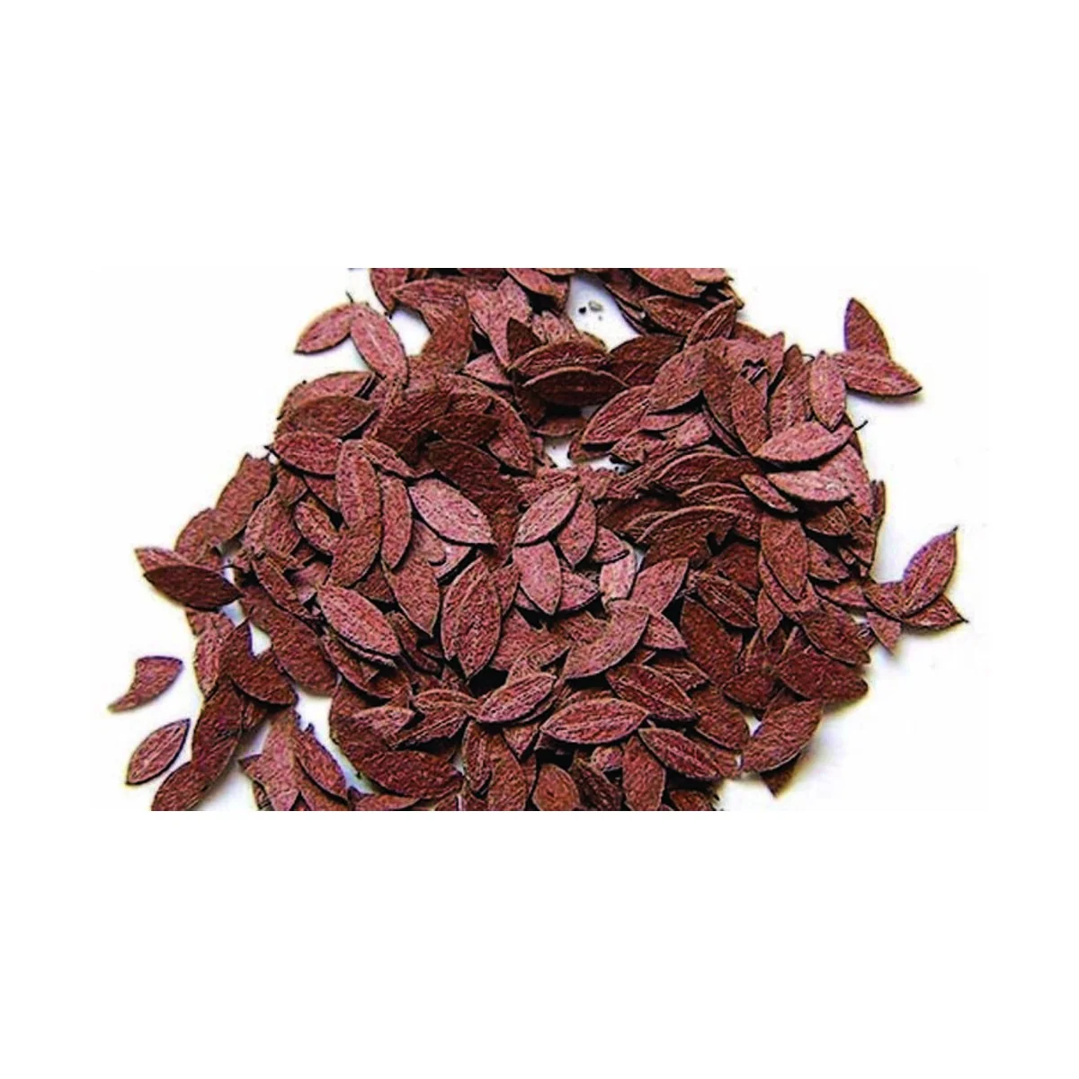 Kirsch-Blätter, 1/35 - Plus model 281