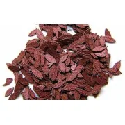 Kirsch-Blätter, 1/35 - Plus model 281