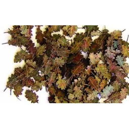 Eichenblätter - extra Farben - Plus model 287