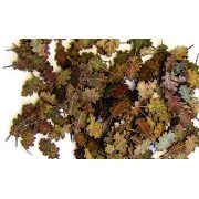 Eichenblätter - extra Farben - Plus model 287