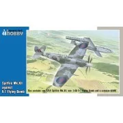 Spitfire Mk.XII against V-1 Flying Bomb - Special Hobby 100-SH48192