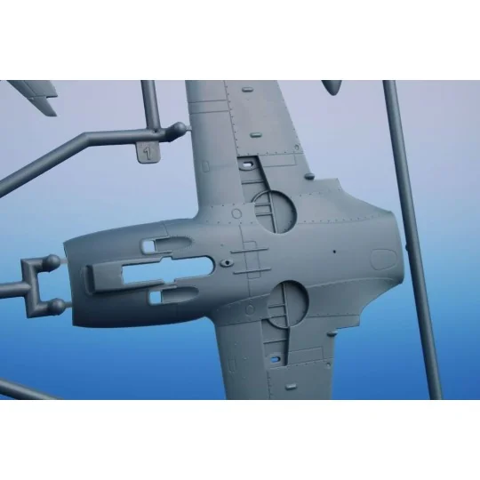 SIAI-Marchetti SF.260AM/M/W, 1/48 - Special Hobby 100-SH48207