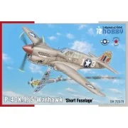P-40K-1/5 Warhawk - Special Hobby 100-SH72379