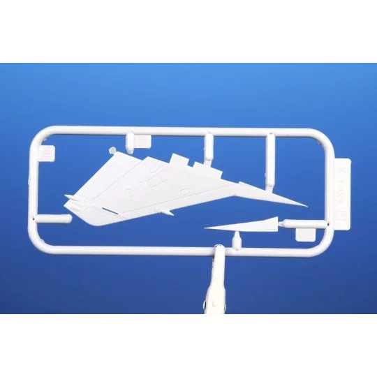 Mirage F.1 EQ/ED 1/72 - Special Hobby 100-SH72386