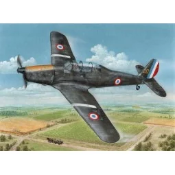 Arado Ar 96B 'Captured & Post War' - Special Hobby 100-SH72409