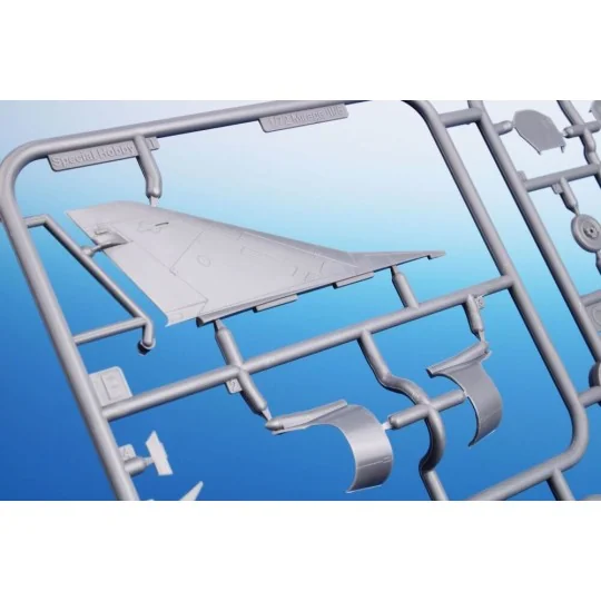 Mirage IIIC Armee de I'Air - Special Hobby 100-SH72476